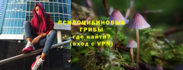 mdpv Карпинск