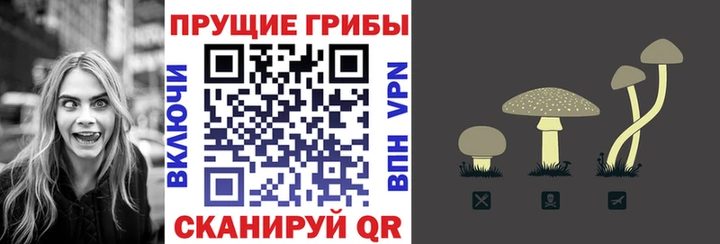 Купить где  Рубцовск  Псилоцибиновые грибы прущие грибы 